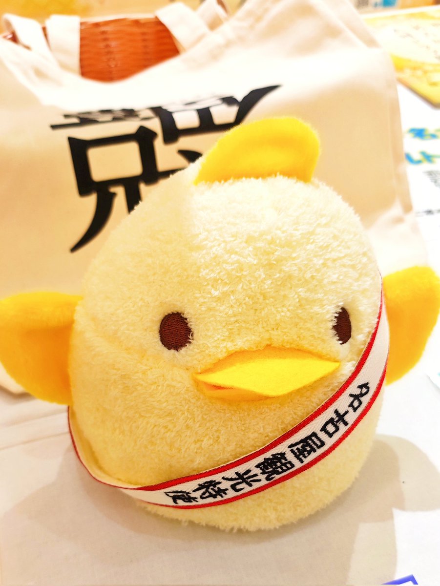 君が、ぴよりんくんかね