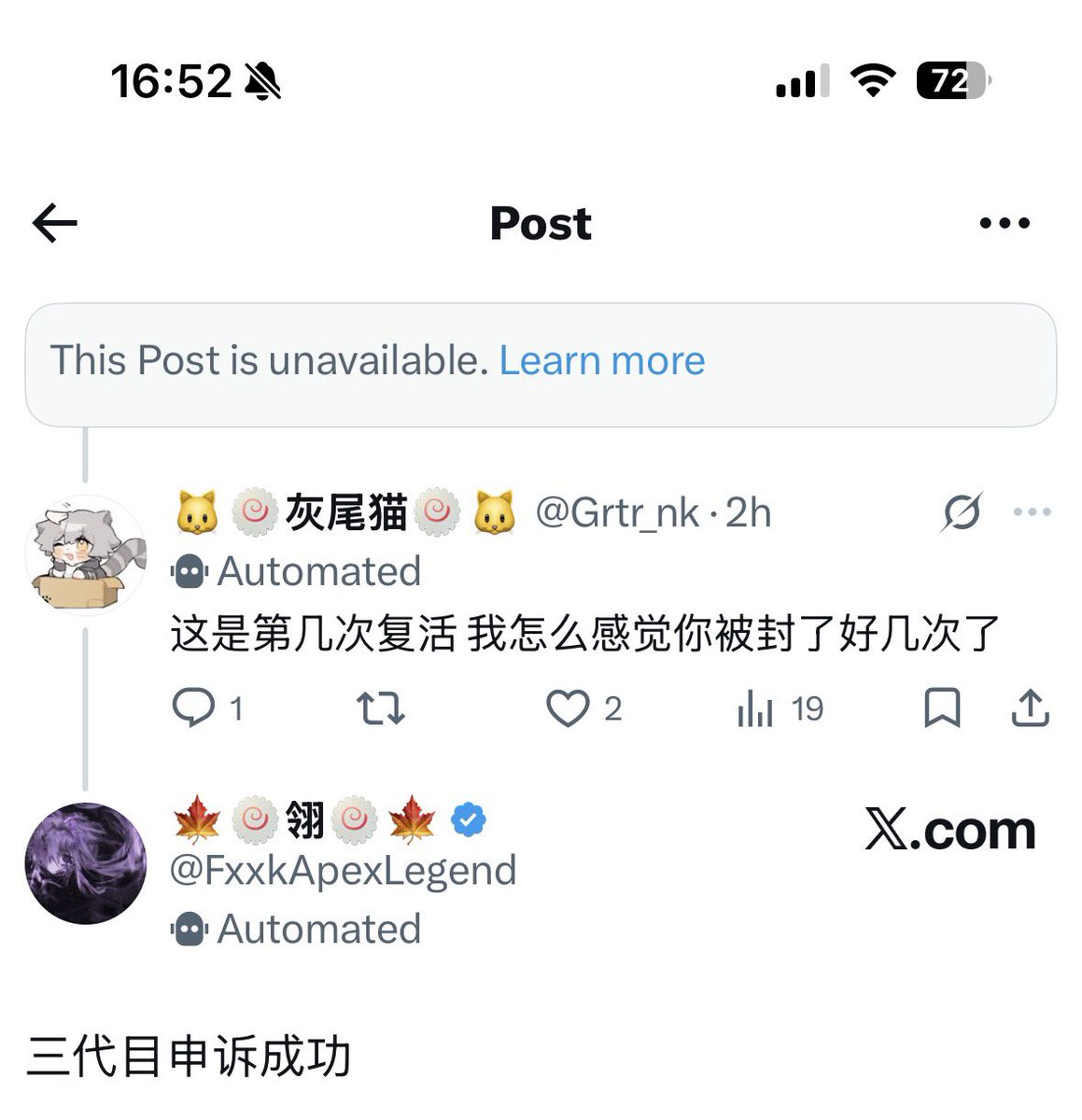 🐱🍥灰尾猫🍥🐱 tweet media