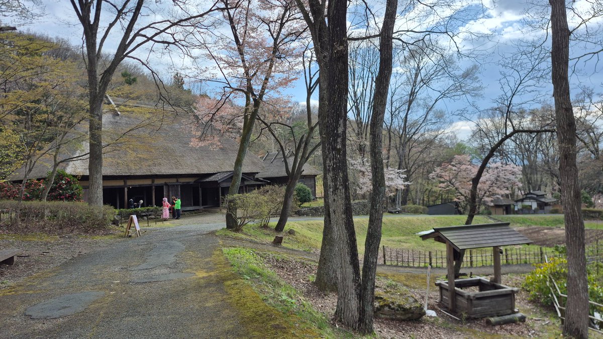 Daniel Loo tweet media