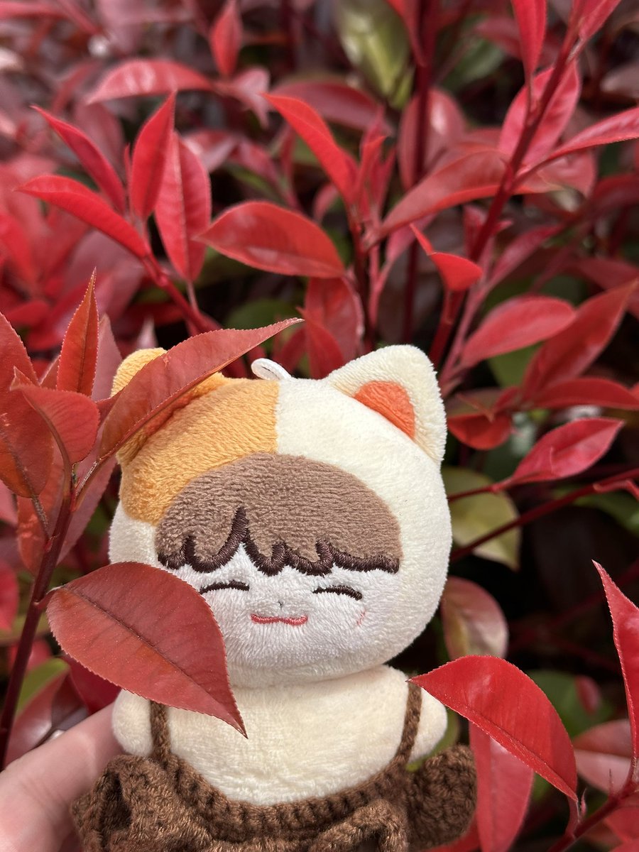 ชกบ. 🍕 tweet media