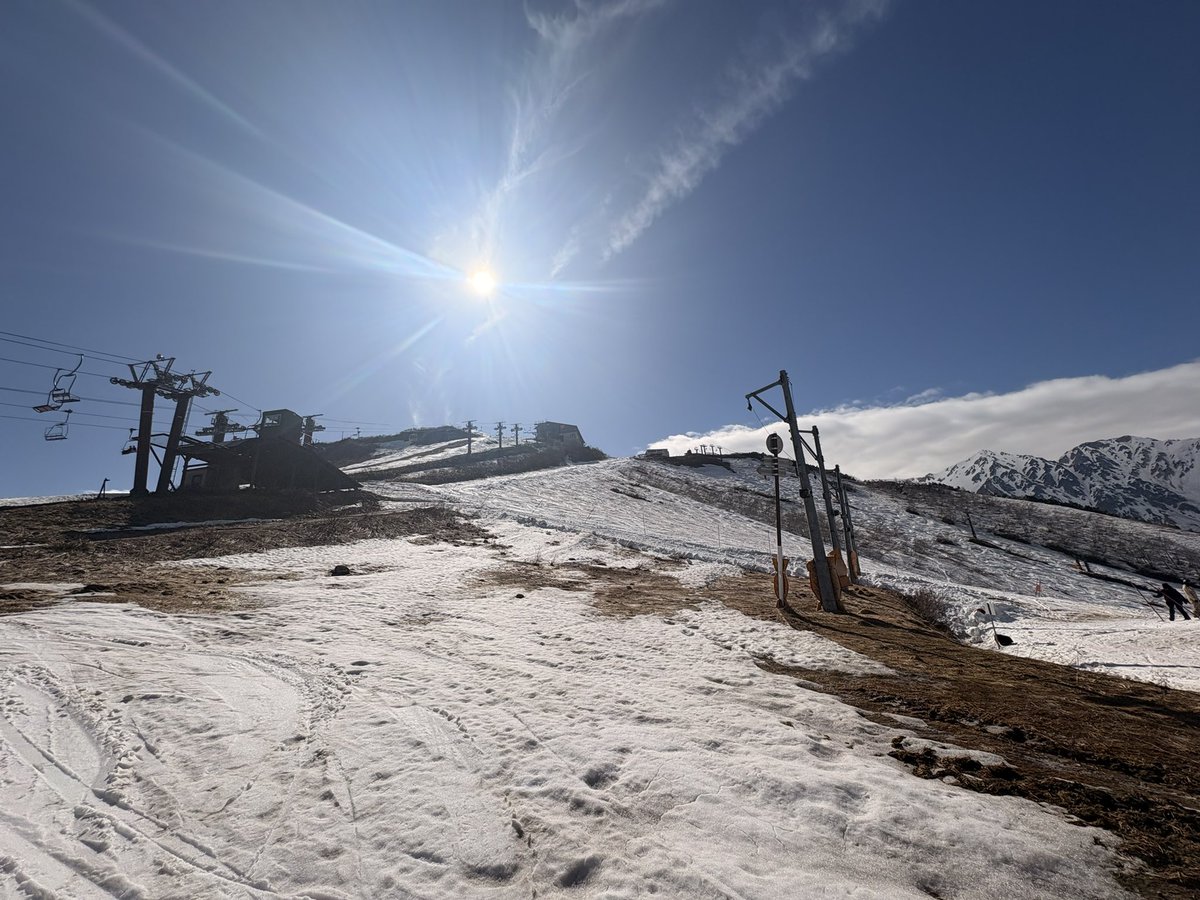 Tじょうぎ【ポルマリン漬】 tweet media