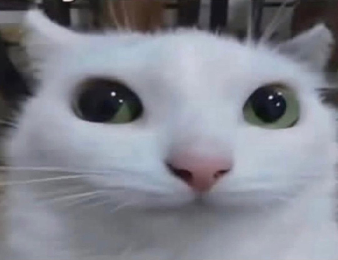 yo viendo cómo el psicólogo no se rie de mi chiste y empieza a tomar nota (se está robando mi chiste)