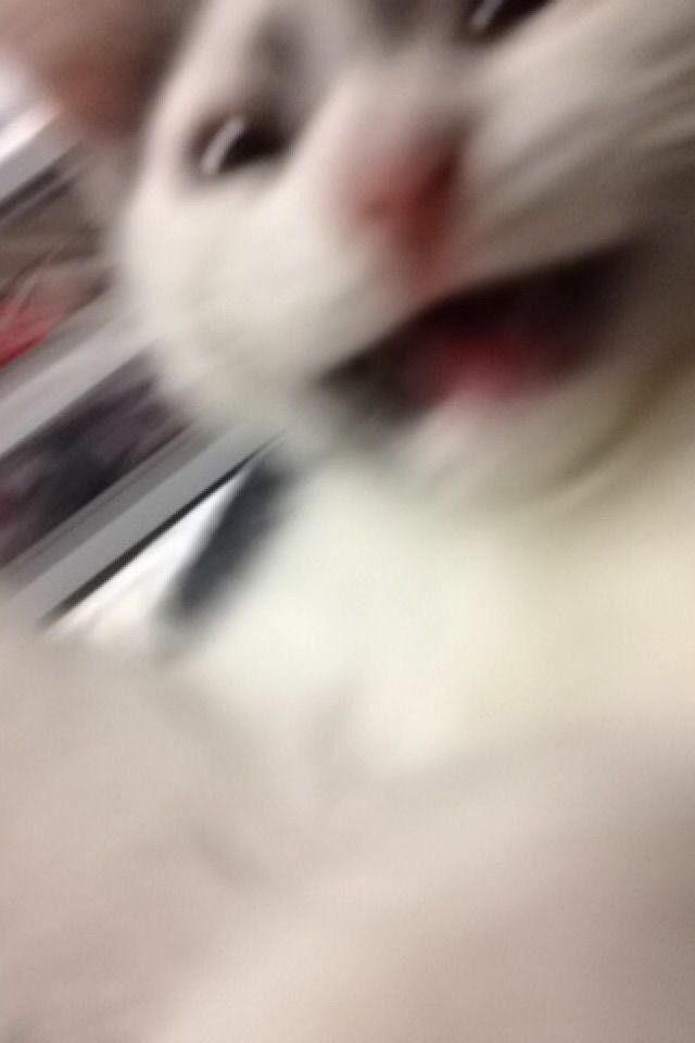 zimzalabich🥀 tweet media