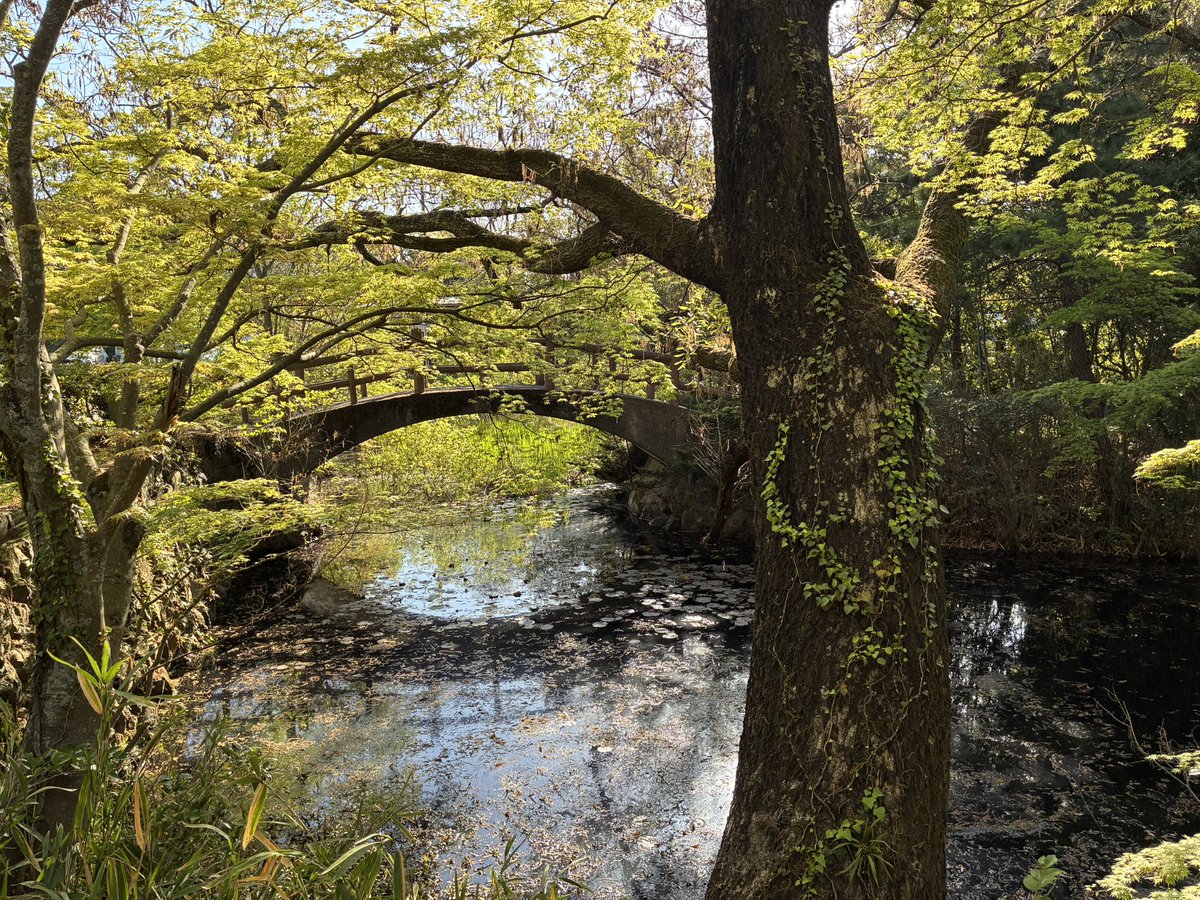 🐑 だ む 🐑 tweet media