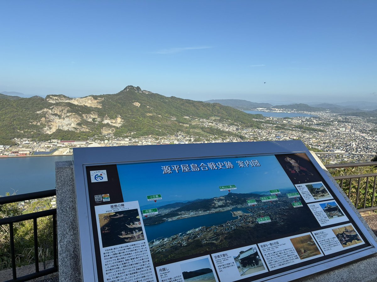 🐑 だ む 🐑 tweet media