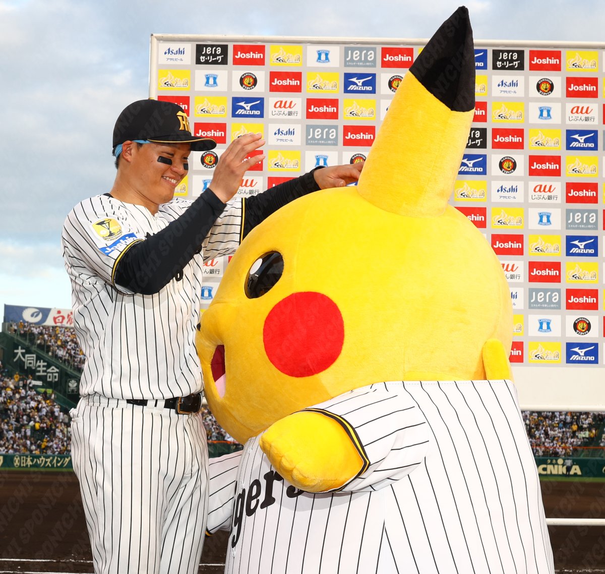 スポニチTIGERSフォト tweet media