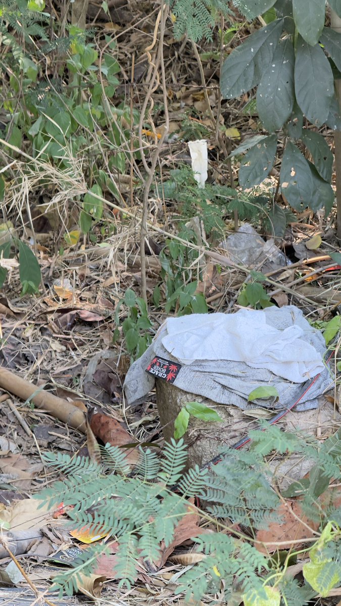 แปดริ้ว ขี้เหงา ชอบเอาตามปั้ม tweet media