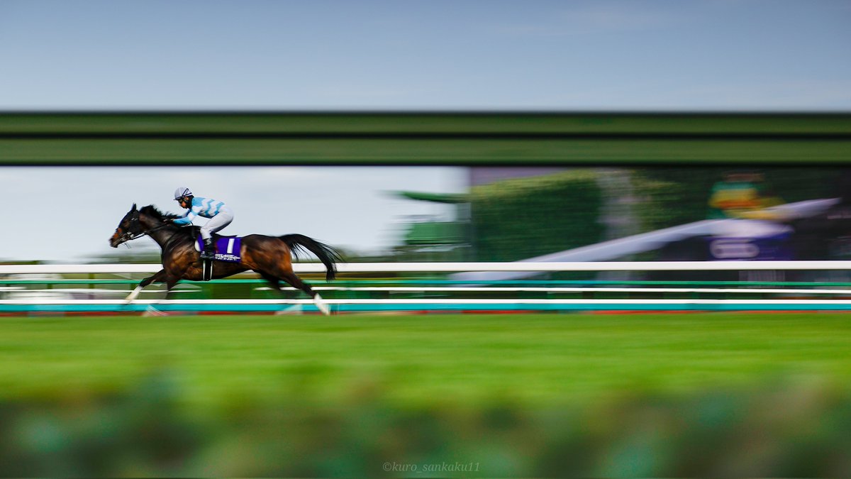 くろさんかく tweet media