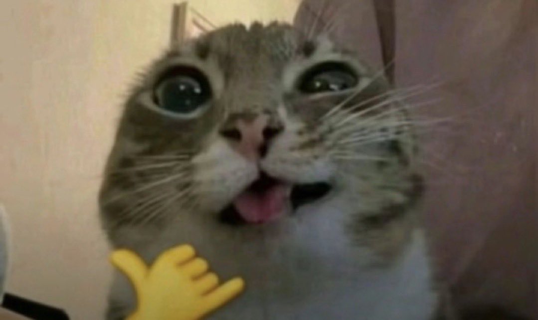 NicoNFW's tweet photo. Hello made a pinned tweet #nsfwtwt #nsfwtwtًً

◕ Nico He/Him
◕ 24 y/o, MDNI
◕ lowkey switch but way more dom
◕ DMs open! 
◕ talk dirty to me, or we can simply chat about nerd stuff like videogames I can explain you the entire lore of Elden Ring

Like &amp; rt for moots :) https://t.co/18QEH2kJMz