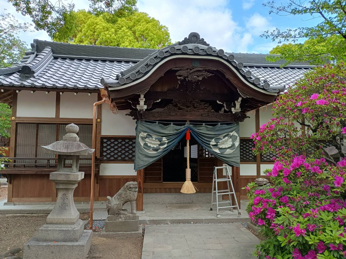 R2KsnmeTLw2593's tweet photo. こんばんは。
高槻野見神社境内に鎮座する永井神社。
令和の大改修工事が終わり、本日は明日19日の永井神社例大祭の準備が行われました。
長年見慣れ親しんできた社殿が見事に蘇りました。
明日、例祭に私直清参列します。永井のご当主さまも。
色々催し行事が控え、私は案内役、頑張ります。 https://t.co/Bo9YO3kvD6