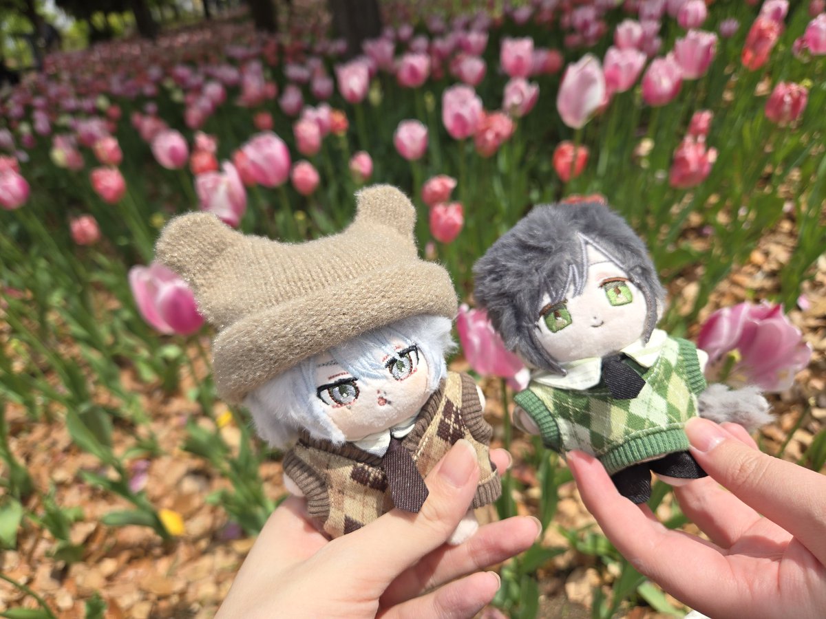 はやせ🍨依頼再開 tweet media