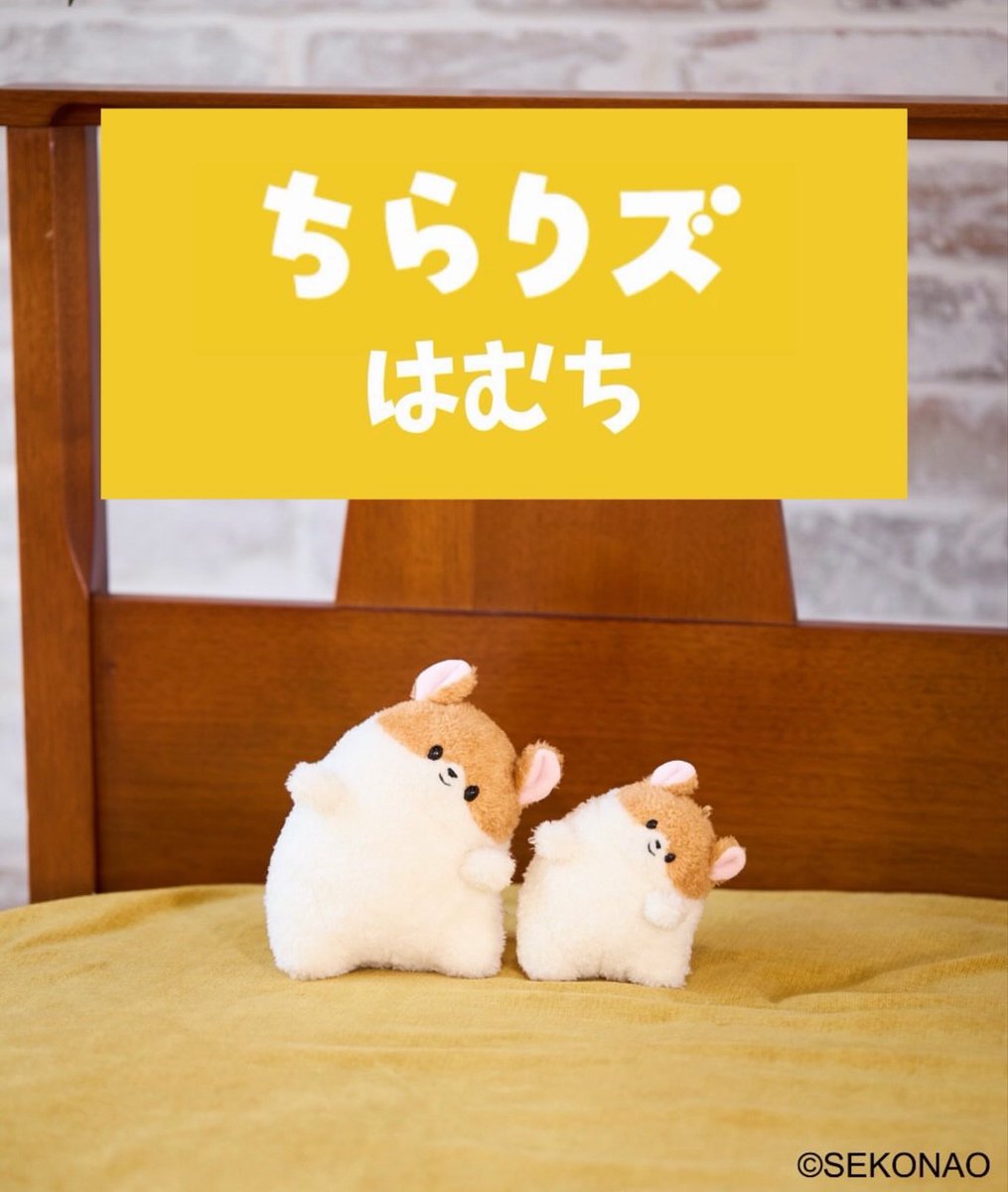 セキグチ公式オンラインショップ (@sekiguchi1918) / Posts / X セキグチ公式オンラインショップ (@sekiguchi1918) / Posts / X