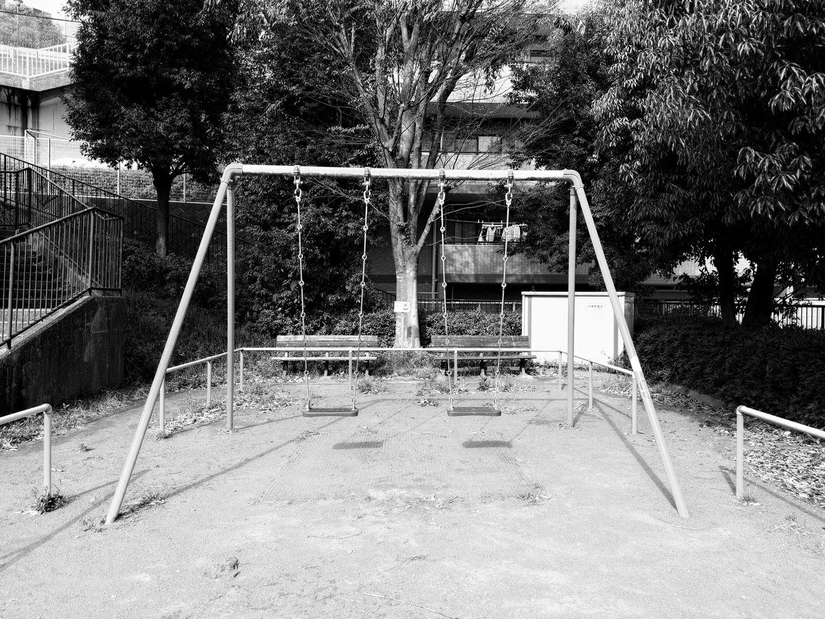 カエルさん🐸 tweet media