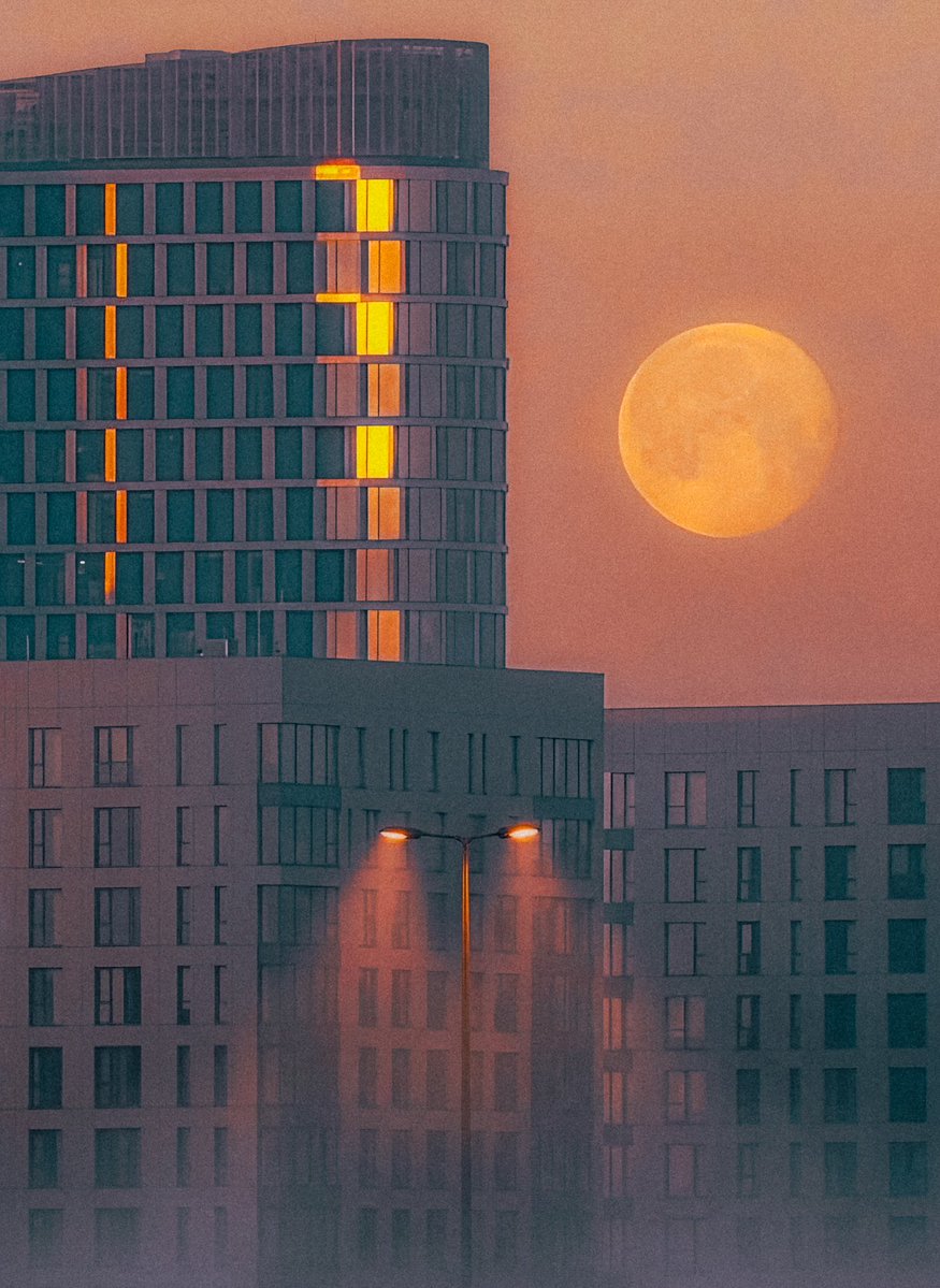 Hashtagalek 📸 Fotograf Aleksander Małachowski tweet media