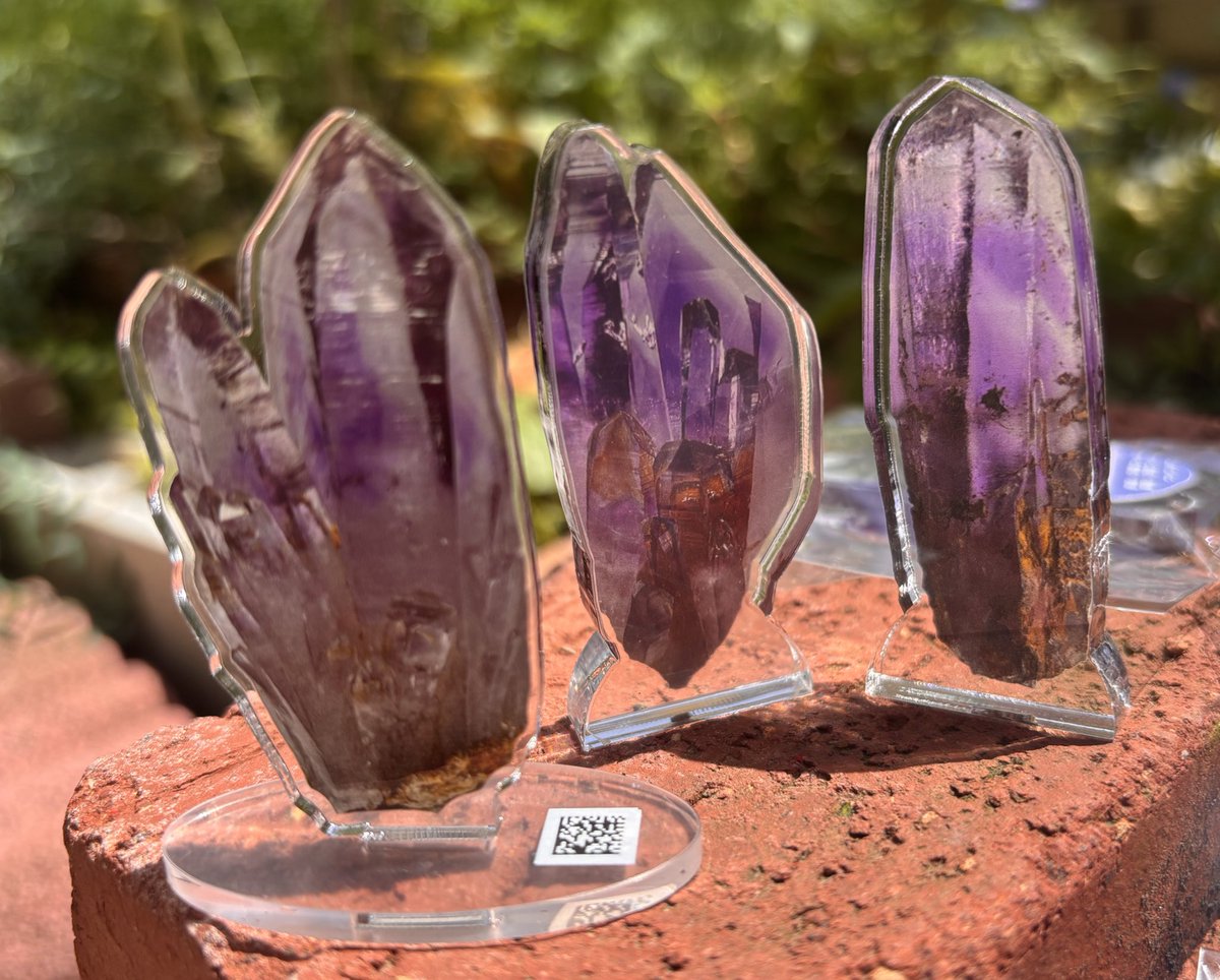 わいわい tweet media