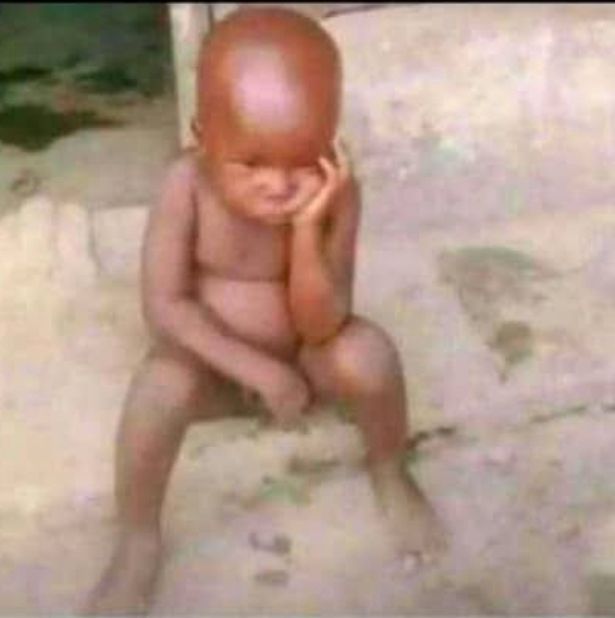 Greg 🐐 tweet media