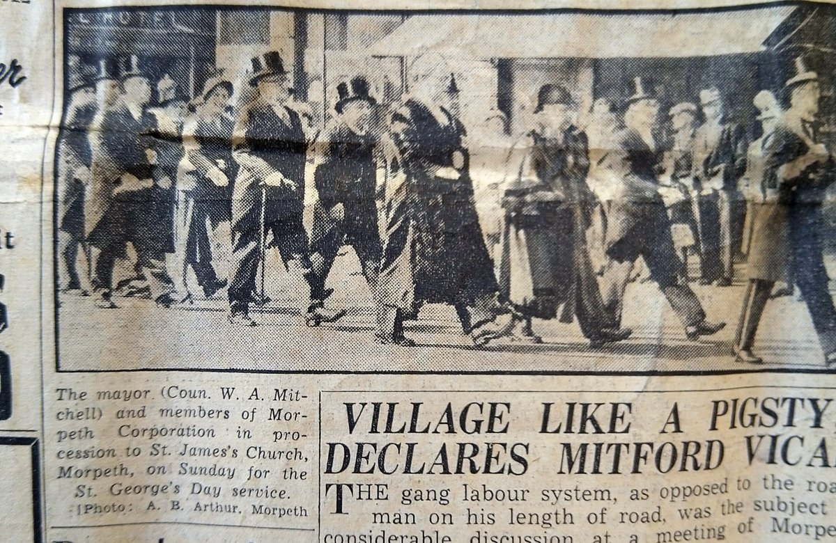 Guinevere of Mason. tweet media