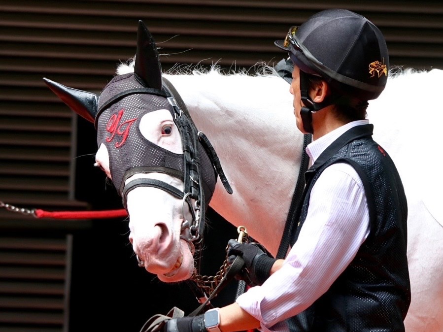 【公式】アオラキfamily tweet media