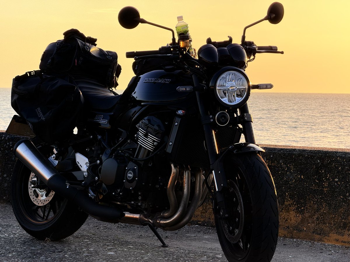 P_shigure tweet media