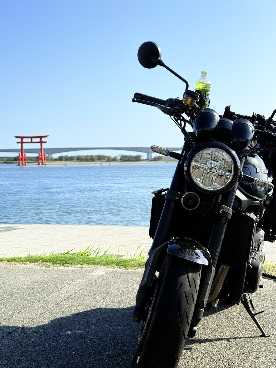 P_shigure tweet media