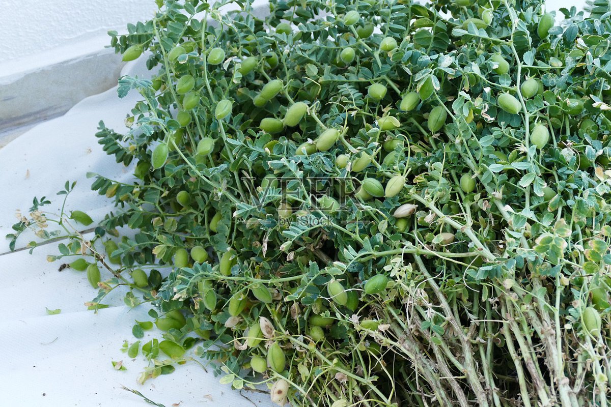 Moussa tweet media