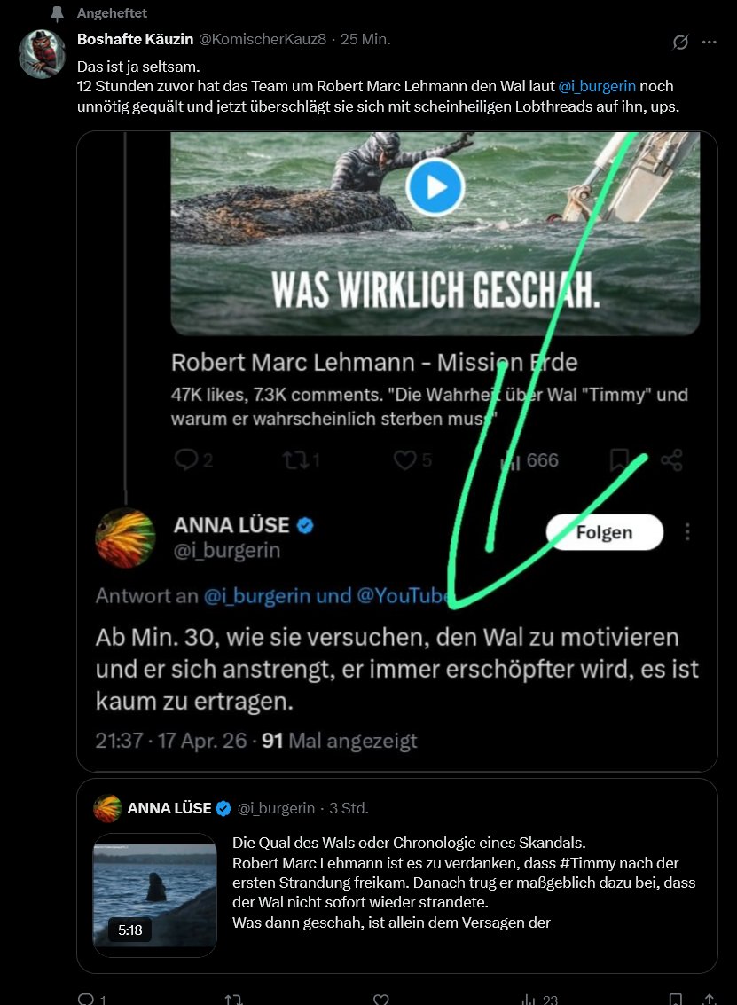 ANNA LÜSE tweet media
