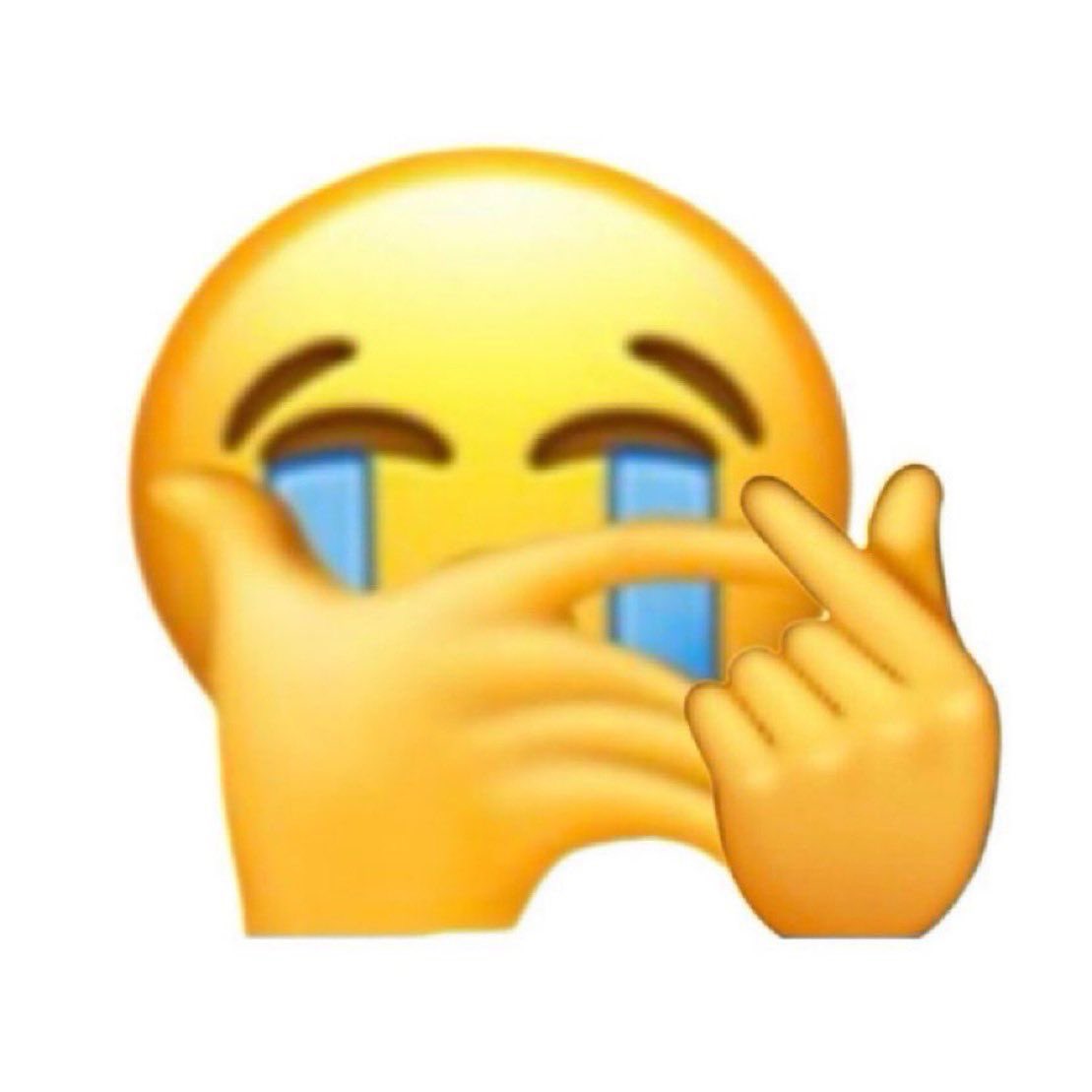 사육사 tweet media