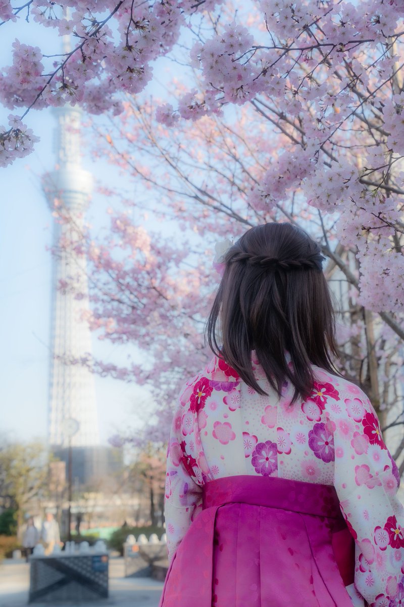 miyu_d_kichi's tweet image. 先月撮っていただいた袴の写真が少し前に届いたので、投稿です😊桜と一緒に素敵に撮っていただき感謝です🌸
#女装 #with #和服 #袴
#卒業 #卒業式