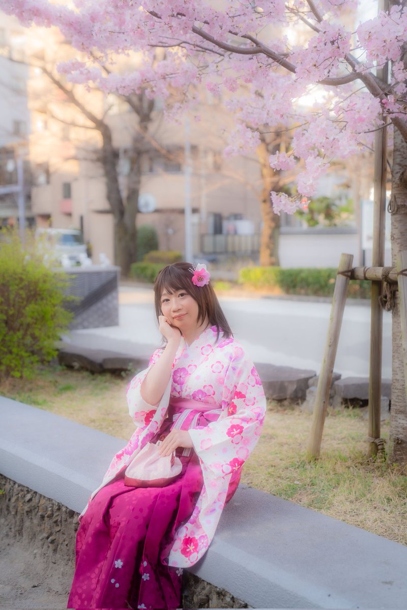 miyu_d_kichi's tweet image. 先月撮っていただいた袴の写真が少し前に届いたので、投稿です😊桜と一緒に素敵に撮っていただき感謝です🌸
#女装 #with #和服 #袴
#卒業 #卒業式