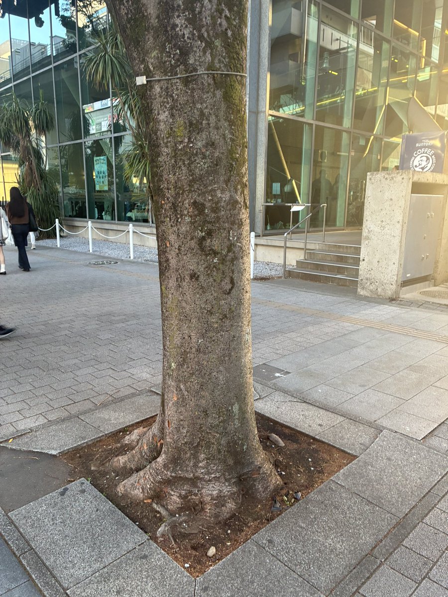 エースVTEC tweet media