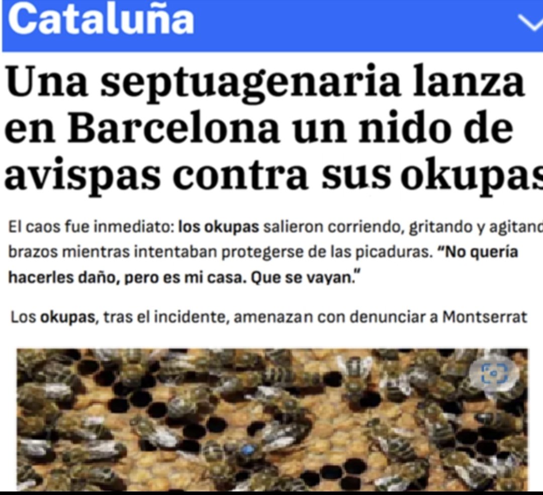 Maria Jose tweet media