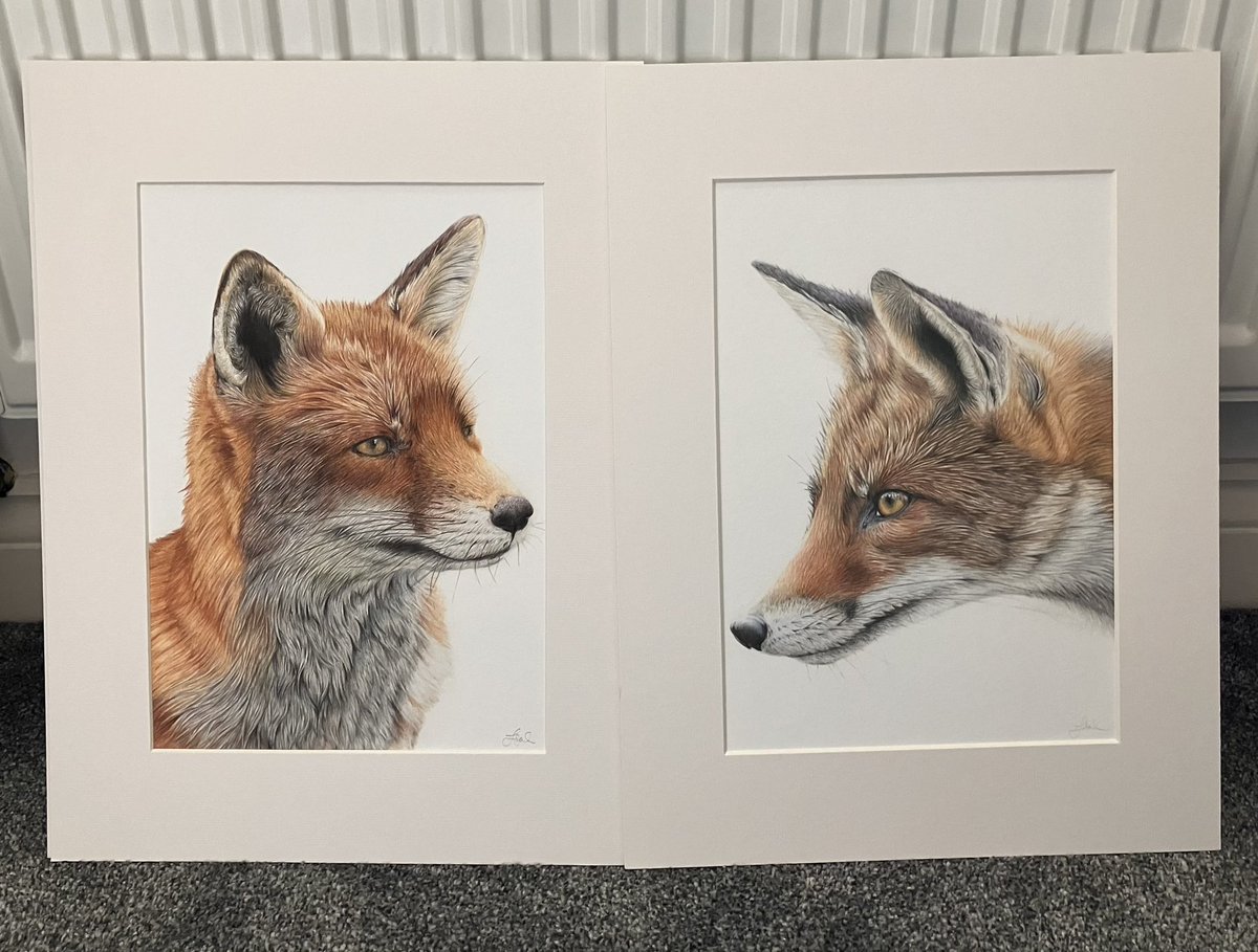 Lisa Wellwood Artist tweet media