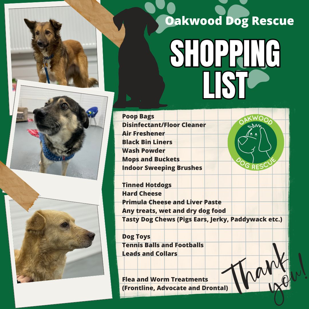 OakwoodRescue's tweet image. Our shopping list is one of many ways you can help the dogs in kennels if you are local to Hull 💚
Also here is the Wishlist link if you'd like to donate through that instead 💚🙏🐶
amazon.co.uk/hz/wishlist/ls…
#rescue #shopping #Donations #DogsofTwittter #Charity
