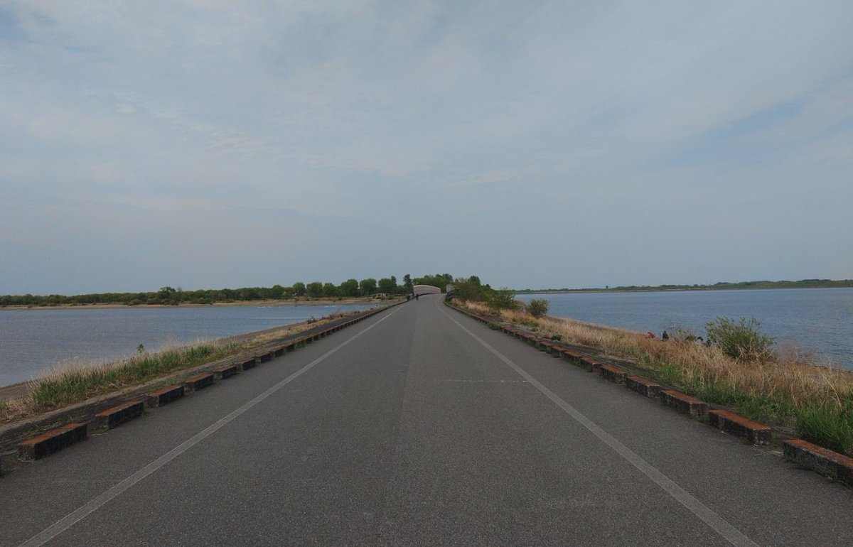 ぽむまれー tweet media