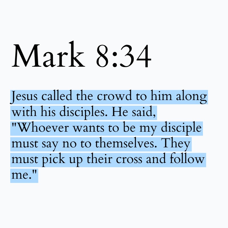 Holy Bible tweet media