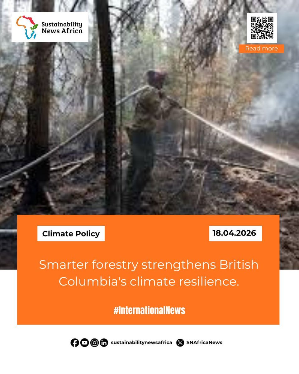 SNAfricaNews's tweet image. Smarter forestry and Indigenous knowledge can reduce wildfire risk and preserve carbon in British Columbia.

READ MORE: sustainabilitynewsafrica.com/stories/smarte…

#Forestry #Wildfire #ClimateResilience #Biodiversity #Sustainability #SNA