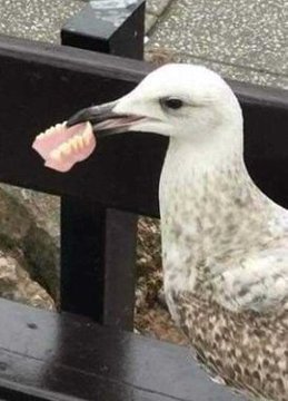 Ania K.#DrużynaNawrockiego 2025 🇵🇱❤️🇵🇱 tweet media