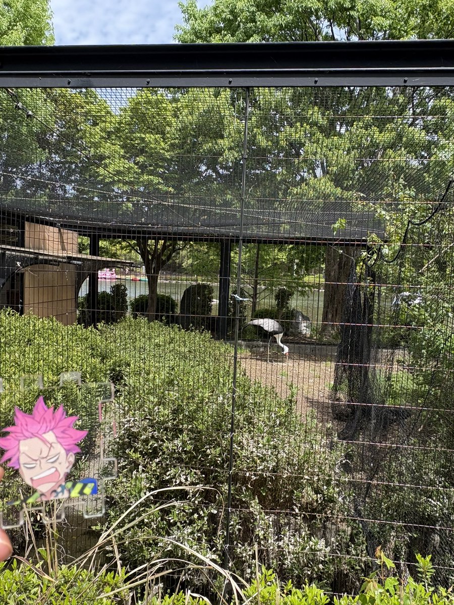 この表情何と合わせても合う