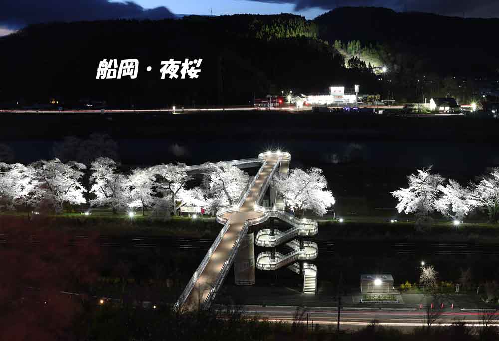 ジョエ tweet media