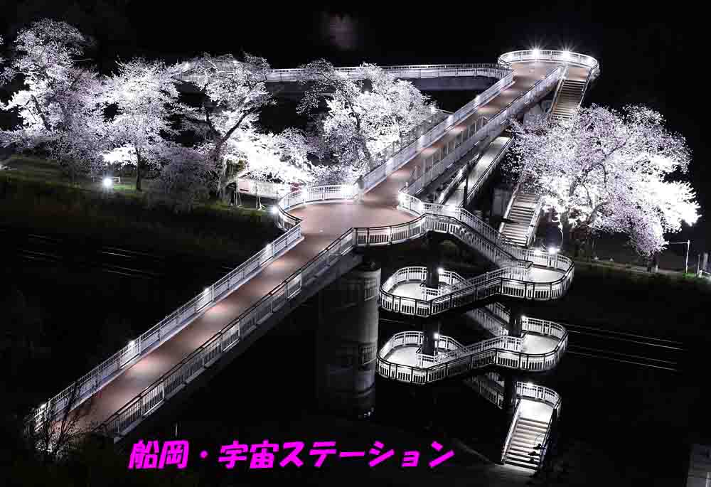 ジョエ tweet media