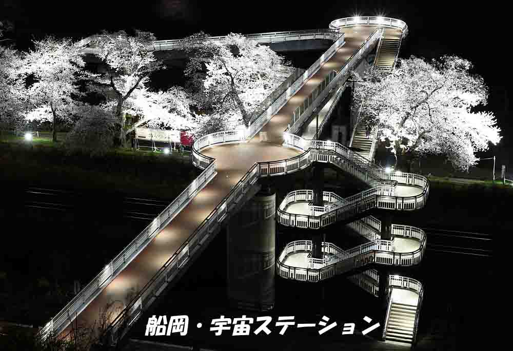 ジョエ tweet media