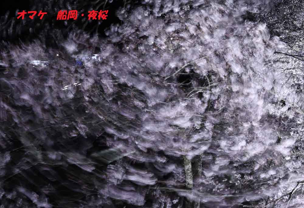 ジョエ tweet media