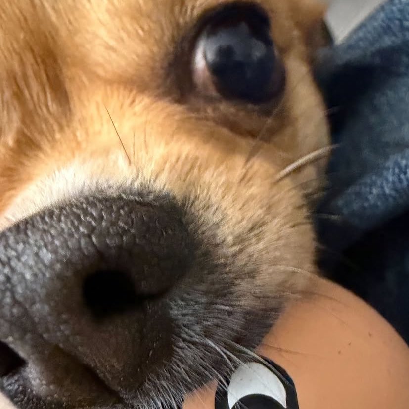 มิ๊บจีบ(slow) tweet media