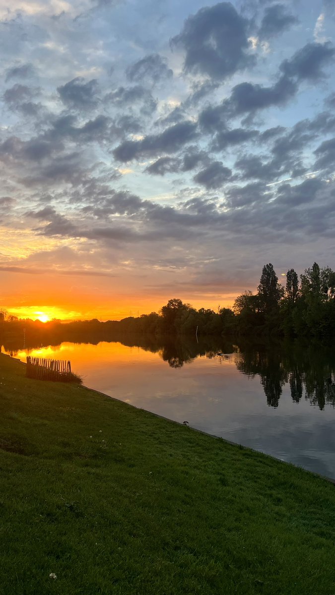 🇩🇿 tweet media