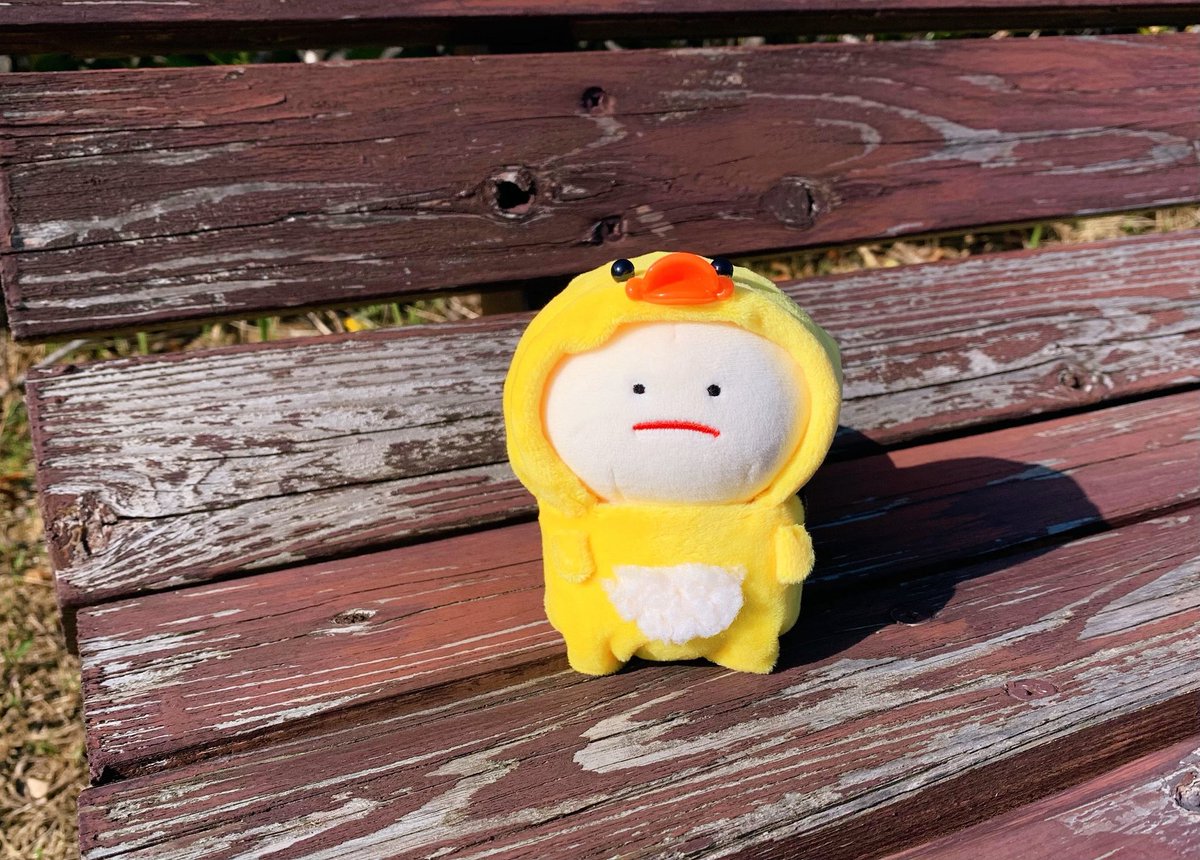 ピヨピヨさん🐣
くちばしが おきにいりです🐤

#ぬいぐるみ #みじめちゃん  #ぬい撮り #ぬいぐるみの時間 #ハンドメイド