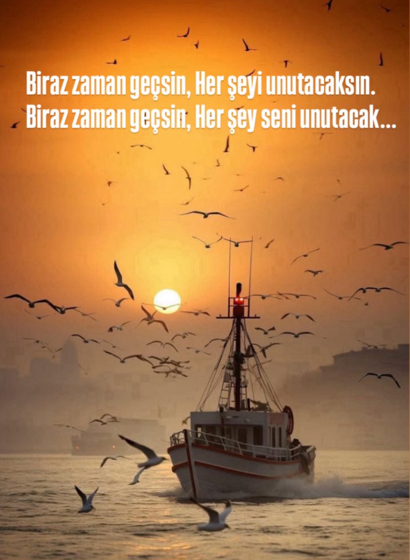 🇹🇷͜͜͡͡✯ Pa〽️uKÇu BaĞCı 🇹🇷͜͜͡͡✯ tweet media