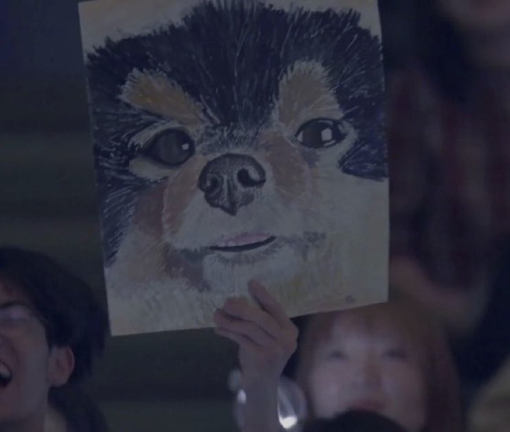 helô ★ tweet media