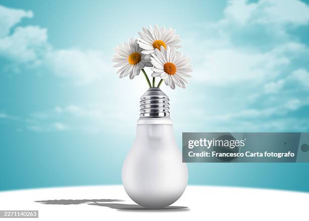cartafra's tweet image. Springtime ideas 
#Springtime #ideas #flower #lightbulb #digitalar
