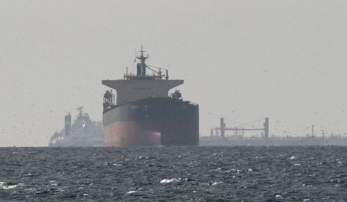 جريدة كاظمة tweet media