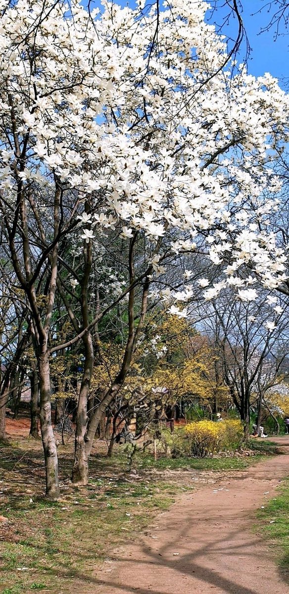 유소추 tweet media